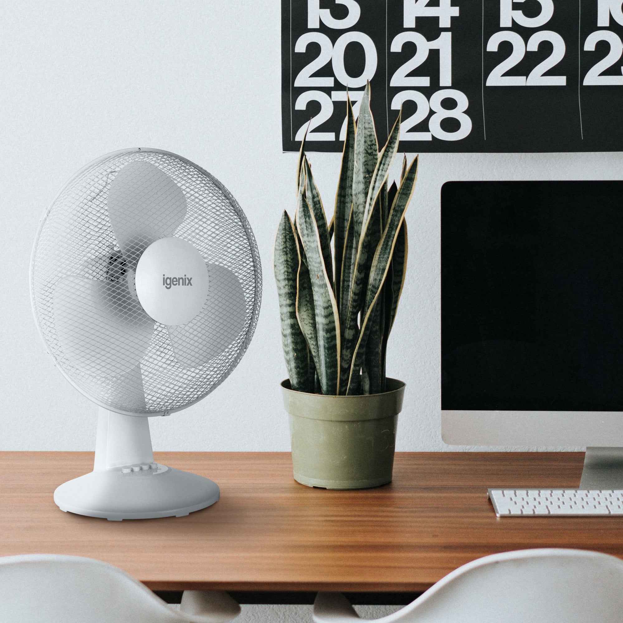 16 Inch Desk Fan, 3 Speeds, White