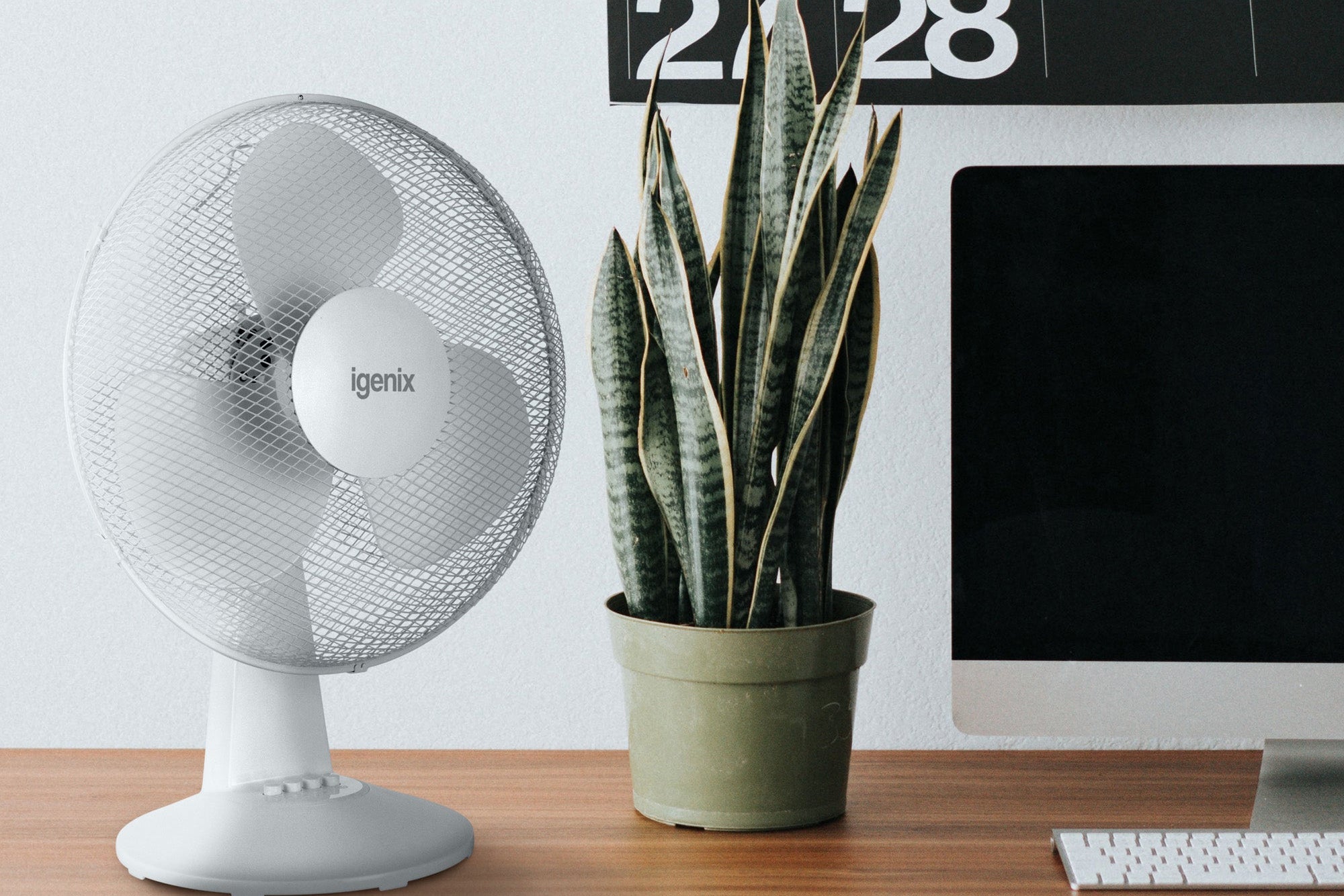 An Igenix 16 Inch Desk Fan (3 Speeds, White) sits next to a potted snake plant on a wooden desk by a modern black-and-white calendar, providing cooling and natural style in a minimalist office.