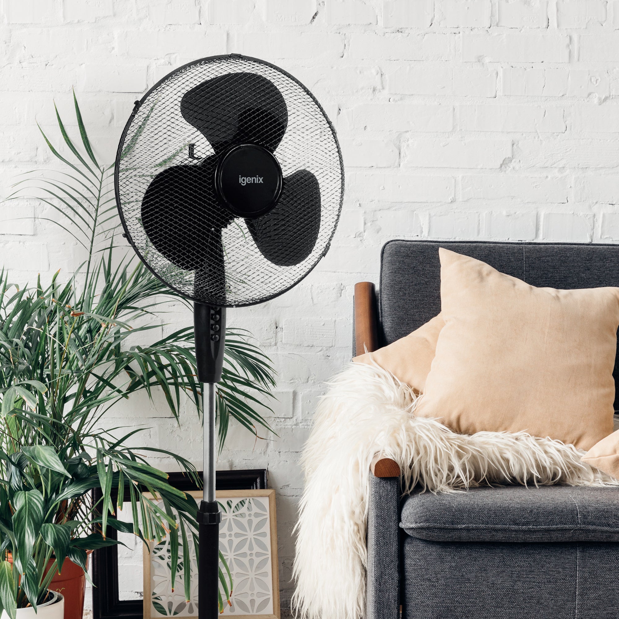 16 Inch Pedestal Fan, 3 Speeds, Black