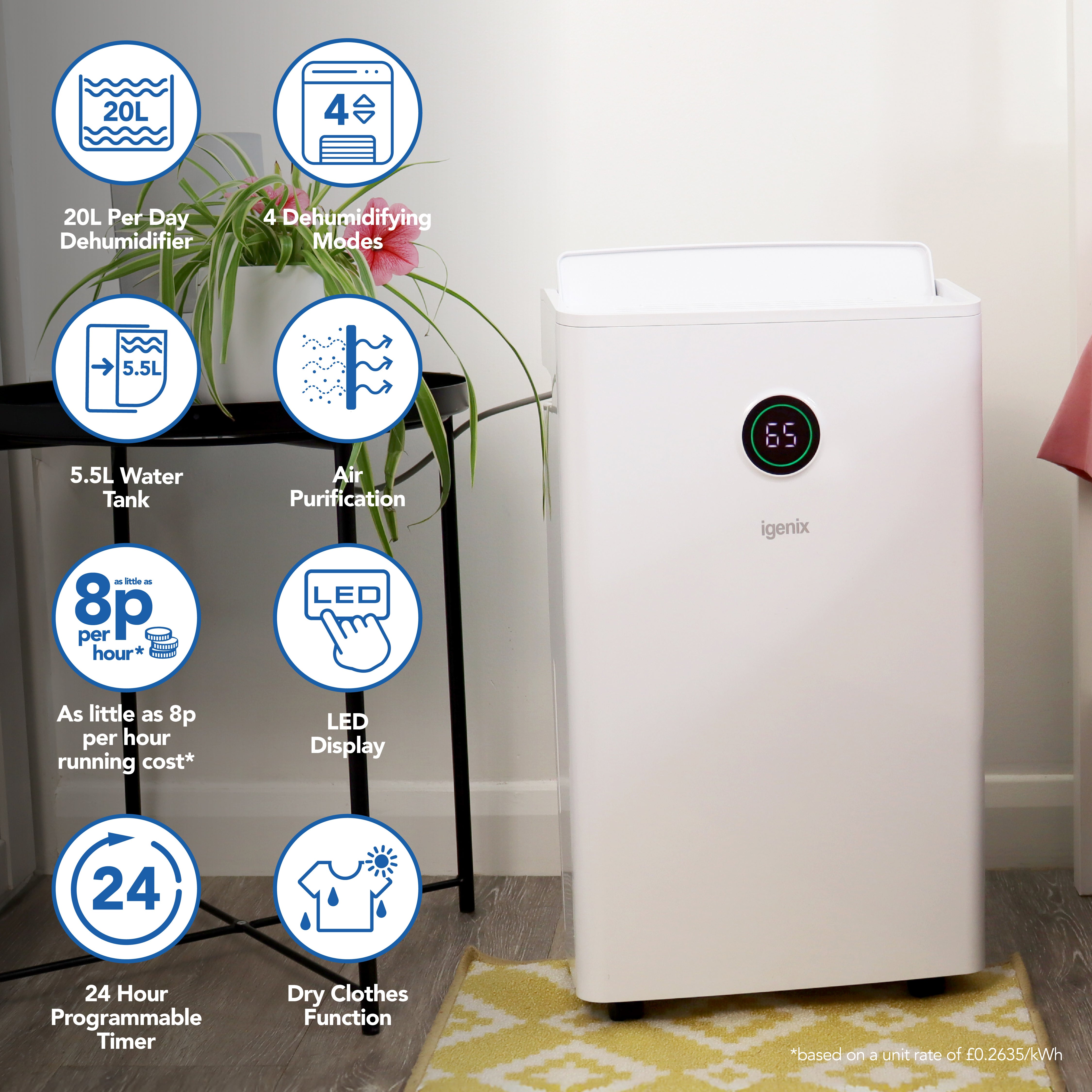 An Igenix Portable Dehumidifier sits in the room, extracting 20L/day. Infographics highlight its 4 modes, 5.5L tank, air purification, clothes drying function, and LED display—ideal to reduce damp and keep spaces comfortable.