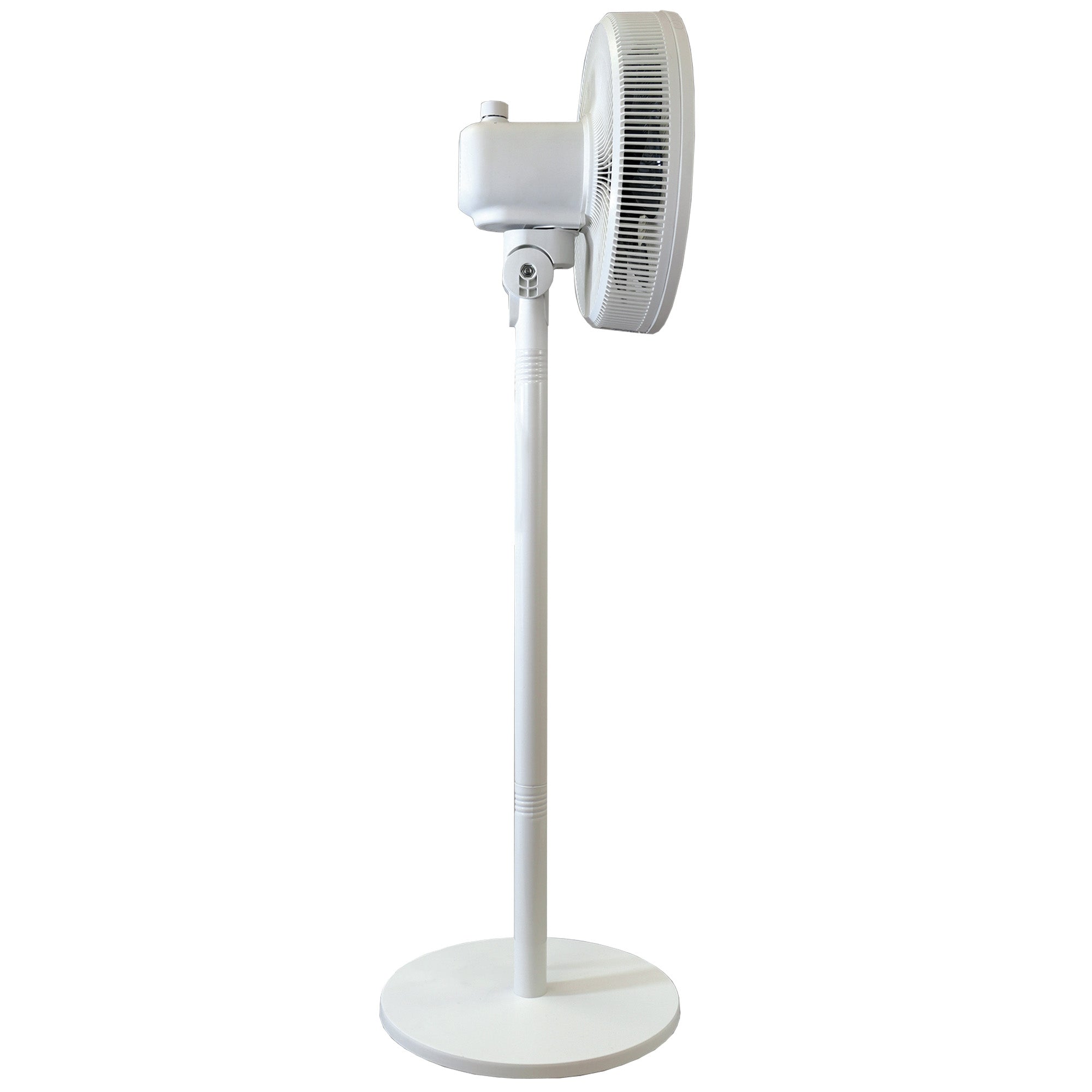 12 Inch Pedestal Fan, 7 Blades, 3 Speeds, White