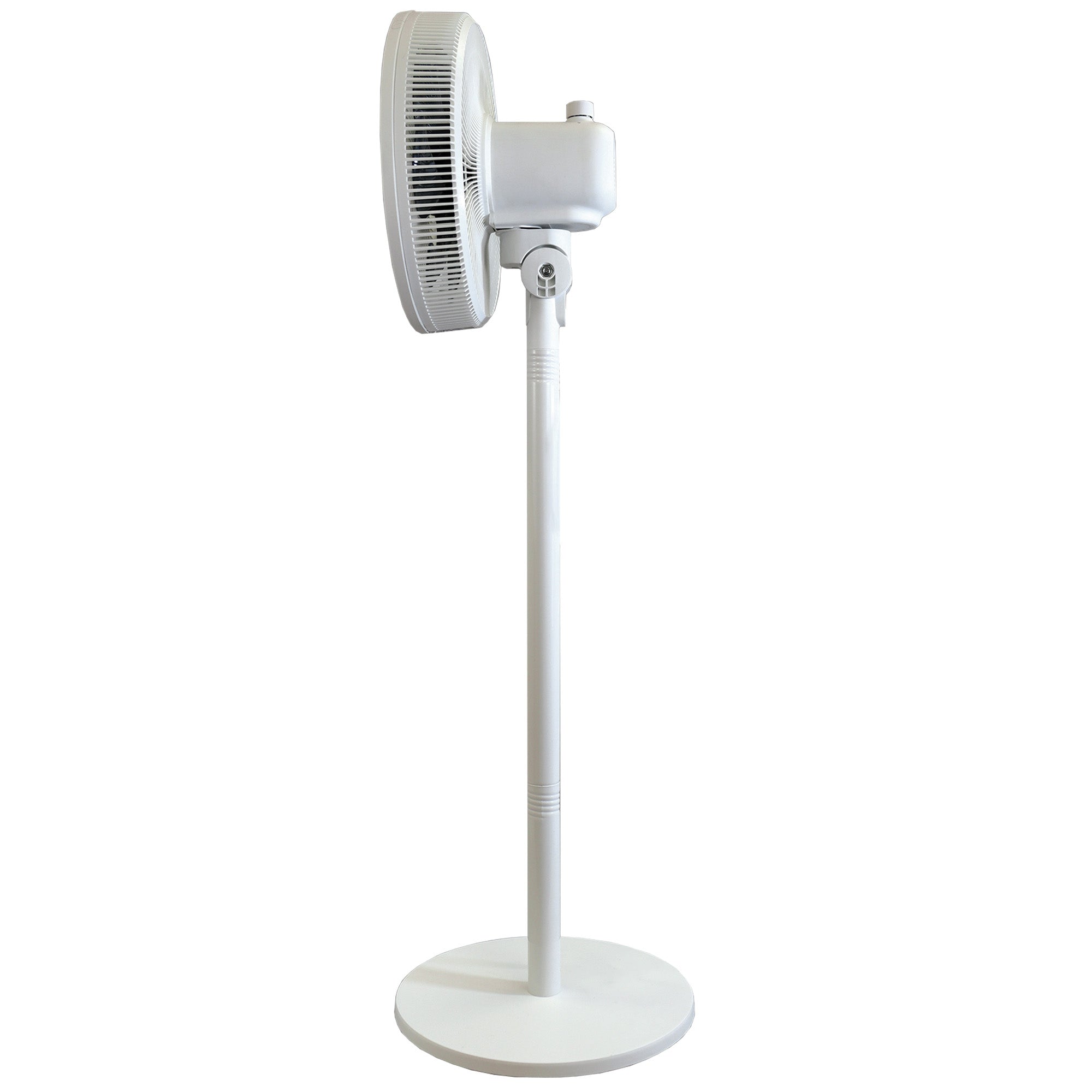 12 Inch Pedestal Fan, 7 Blades, 3 Speeds, White